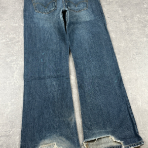 levis baggy